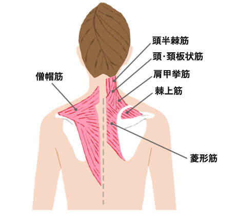 首ストレッチで首 こりを軽減しよう すぐにできる簡単ストレッチ方法をご紹介 カラダの痛み 悩み解決ノート Mediaid公式オンラインショップ メディエイドオンライン