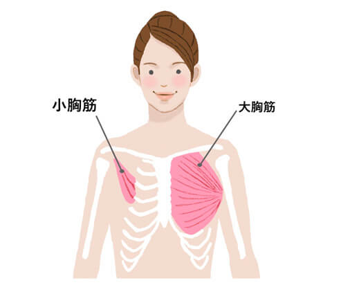 肩こりストレッチ でつらい痛みを軽減 手軽にできるストレッチをご紹介 カラダの痛み 悩み解決ノート Mediaid公式オンラインショップ メディエイドオンライン