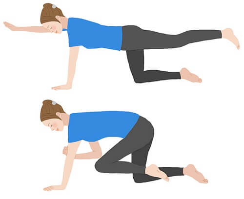 バードドッグをしている女性のイラスト