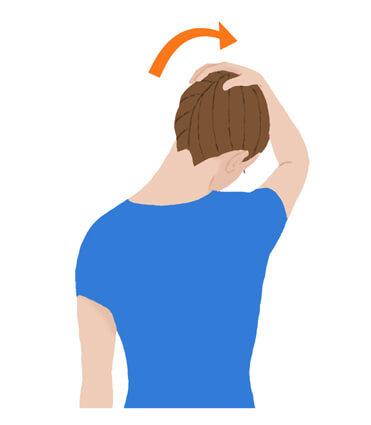 肩甲挙筋のストレッチのイラスト