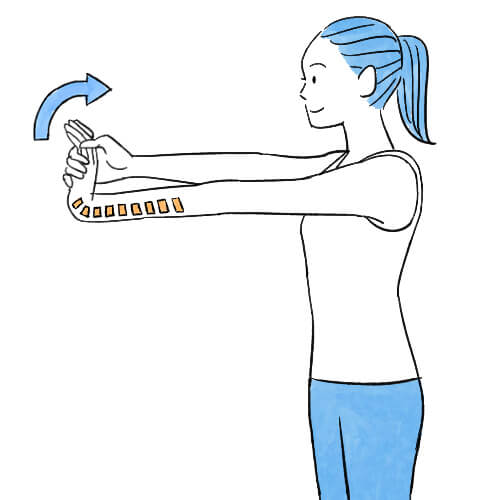 手首を反らす筋肉のストレッチ