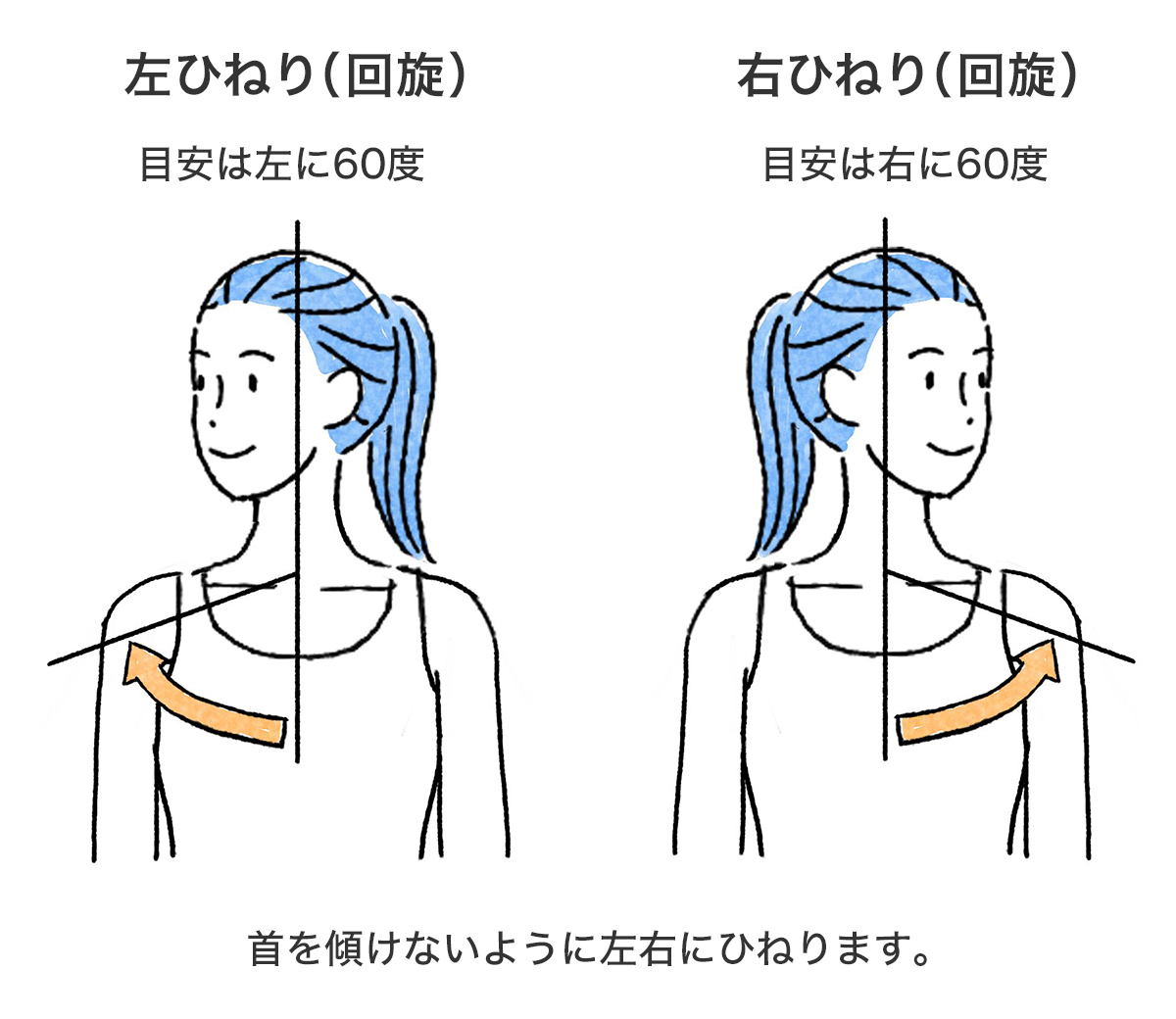 左ひねり（回旋）目安は左に60度、右ひねり（回旋）右に60度 首を傾けないように左右にひねります。