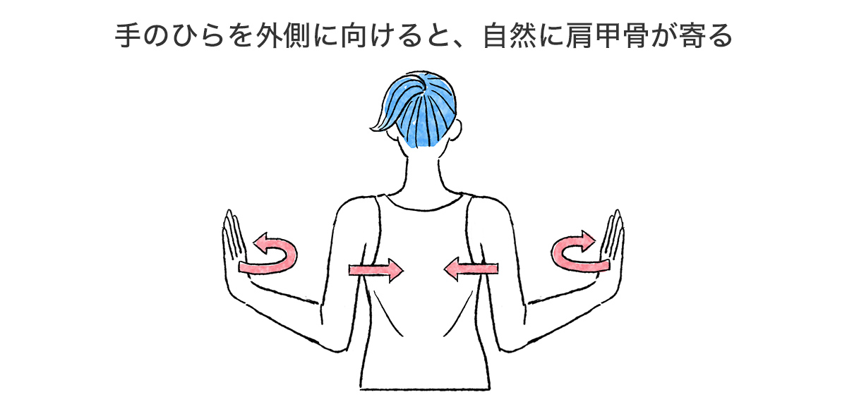 肩甲骨まわりのエクササイズ・ストレッチ4