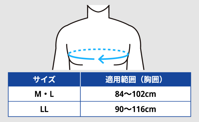 サイズ展開