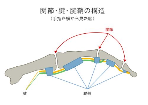 医師に連絡する時期