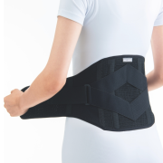 しっかりガード 腰 スタンダードプラス